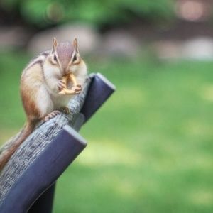 Meet your Posher, Judith